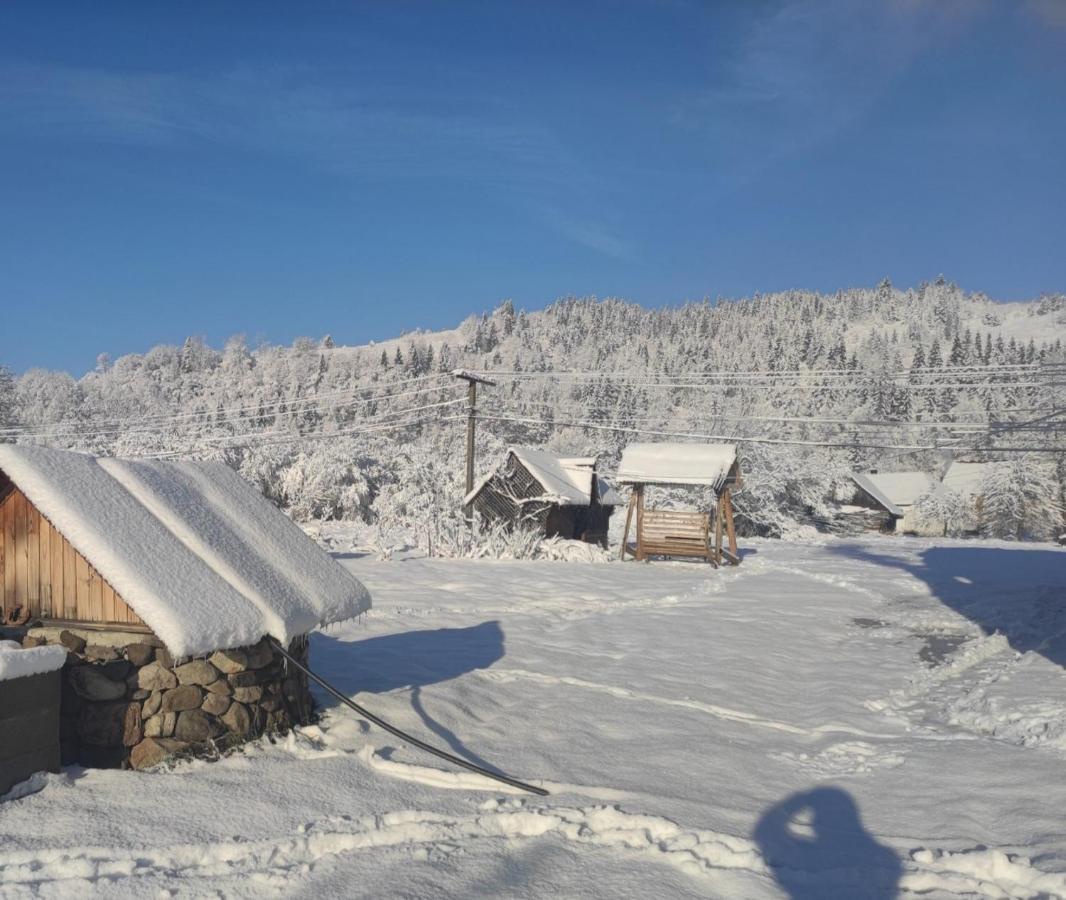 У Мирослави Pilipets Exterior photo